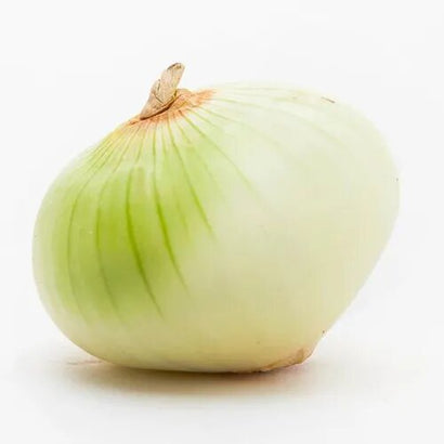 Cebolla blanca unidad
