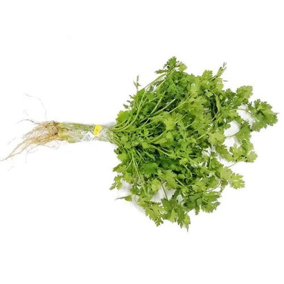 Cilantro x 100gr