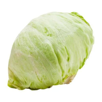 Lechuga batavia unidad