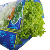 Lechuga verde crespa en bolsa x 200 gr