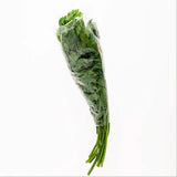 Perejil liso x 100gr